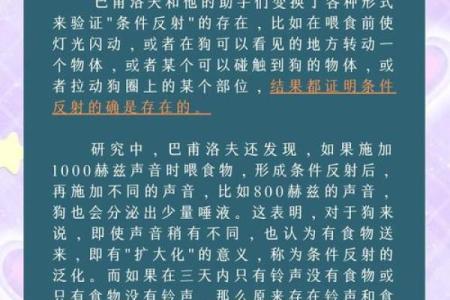 探索狗狗配对的奥秘与科学依据