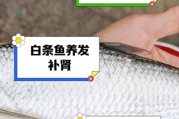 白色招财鱼助旺运势提升财运的风水奥秘 白色招财鱼助旺运势提升财运的风水奥秘