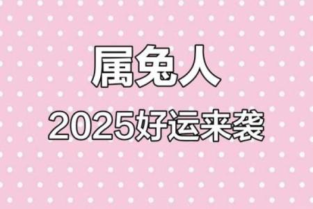 属兔全年度运势分析及每月运程走势