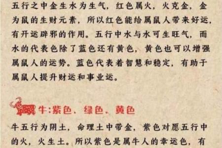 男龙女鼠相配的星座运势解析