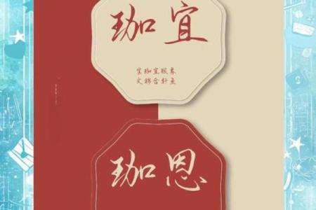 给双胞胎取名的灵感与建议