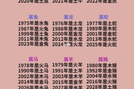 出生的人五行属什么？揭开命理之谜