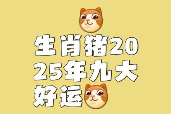 猪年运势如何提升,五个方法帮助你走向成功 猪年运势如何提升,五个方法帮助你走向成功