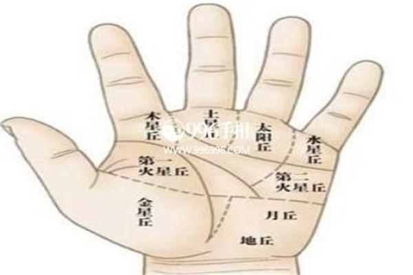富贵命图揭秘:你的手纹暗示着什么 富贵命图揭秘:你的手纹暗示着什么