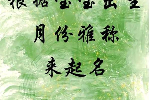八月出生的鸡宝宝名字灵感大全