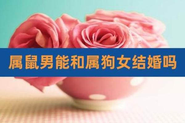 属鼠女与属狗男的爱情配对是否和谐? 属鼠女与属狗男的爱情配对是否和谐?