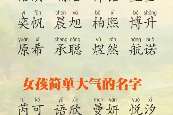 宝宝取名字指南:如何为新生儿找到最合适的名字 宝宝取名字指南:如何为新生儿找到最合适的名字