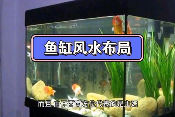 打造财运旺盛的家居环境,风水鱼缸摆放要点 打造财运旺盛的家居环境,风水鱼缸摆放要点