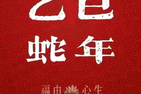 蛇生肖每月运势解析 蛇生肖每月运势解析