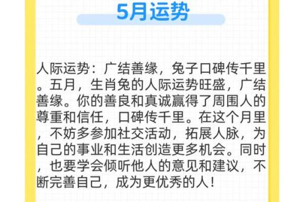 属兔人运程解析与建议 属兔人运程解析与建议