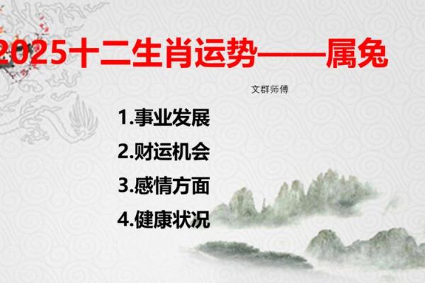 属兔人运程解析与建议 属兔人运程解析与建议