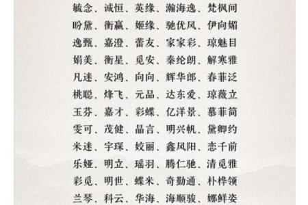 创意与传统的碰撞：名字库中的多样选择