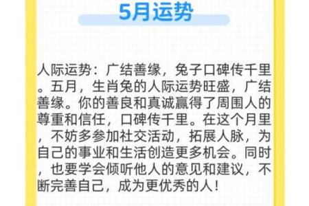 属兔人运程解析与建议