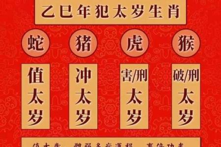 生肖运势走势：如何把握这一年机会