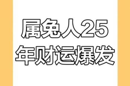 属兔人运势解析：事业与财富的全新机遇