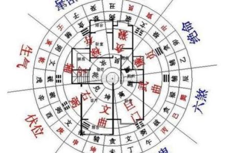 提升家居运势的秘诀 客厅财位风水树的选择与摆放技巧