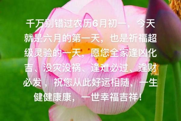 农历：这一天的好运与挑战你准备好了吗