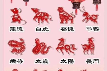 属相运程如何影响你的事业和财运？