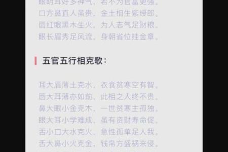 五行属性解析：如何理解这一年的五行与命运关系