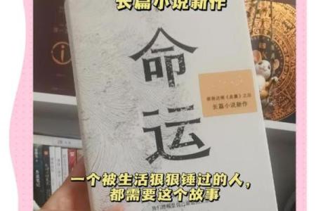 从名字看命运：一场未知的旅程