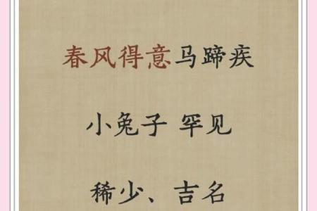 宝宝名字推荐：如何选一个响亮又吉利的名字