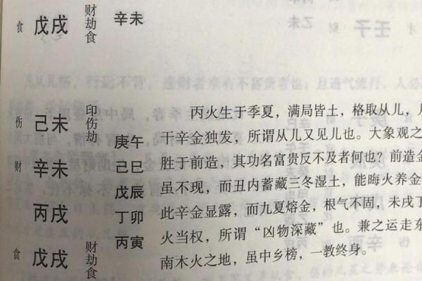 八字从儿格解析:命理中的隐藏财富与挑战 八字从儿格解析:命理中的隐藏财富与挑战