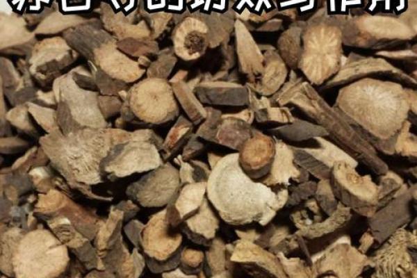 柏树命在命理学中的独特地位 柏树命在命理学中的独特地位