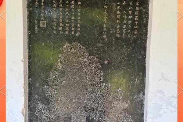 柏树命对命运的潜在影响分析 柏树命对命运的潜在影响分析