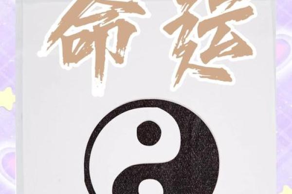安稳命:命运与个人努力的平衡之道 安稳命:命运与个人努力的平衡之道