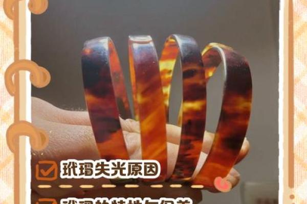 玳瑁五行属性揭秘,了解它对命运的影响 玳瑁五行属性揭秘,了解它对命运的影响