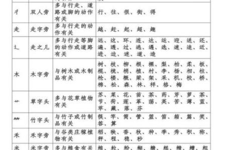 八字部首入门指南：轻松掌握汉字结构的关键窍门