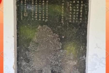 柏树命对命运的潜在影响分析