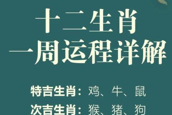 各生肖运势大揭秘:事业、爱情、财运全面分析 各生肖运势大揭秘:事业、爱情、财运全面分析