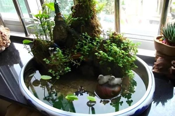 北方厕所位置对家居风水的影响与化解方法 北方厕所位置对家居风水的影响与化解方法