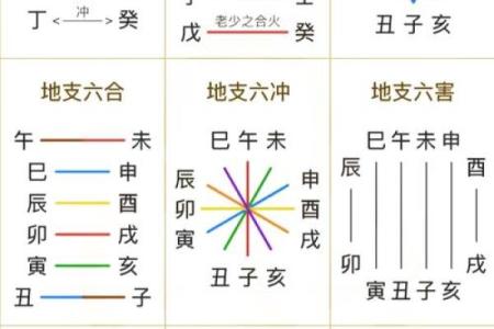 出生的命运解析 属什么命与人生走势