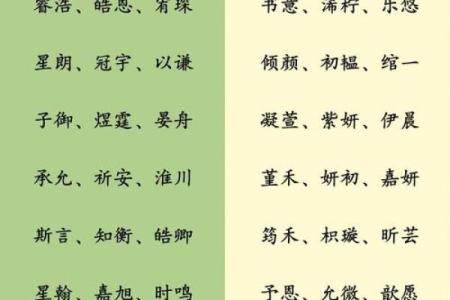 宝宝名字免费查询，助力父母选个好名字
