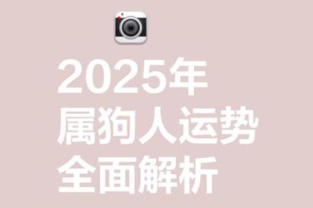 生肖狗运势吉凶详解：如何应对不利因素化解危机
