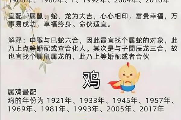 男龙女兔能共度一生吗?生肖婚配解析 男龙女兔能共度一生吗?生肖婚配解析