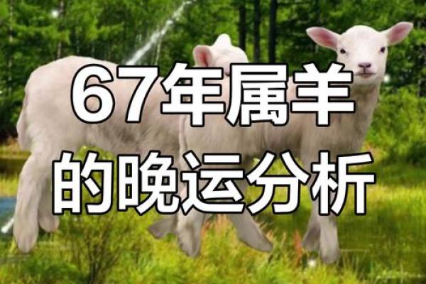 属羊人的每月运势分析,事业感情全方位指南 属羊人的每月运势分析,事业感情全方位指南