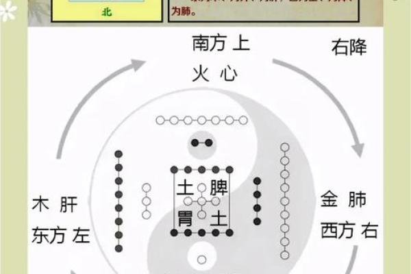 炙火五行探秘:从五行角度解读炙热之力 炙火五行探秘:从五行角度解读炙热之力