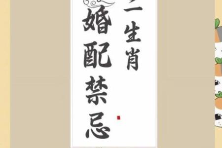 男龙女兔能共度一生吗？生肖婚配解析
