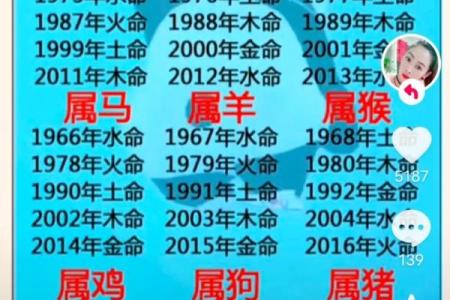 出生的人属什么命及其命理解析