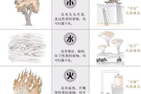 白虎命在命运中的角色和象征