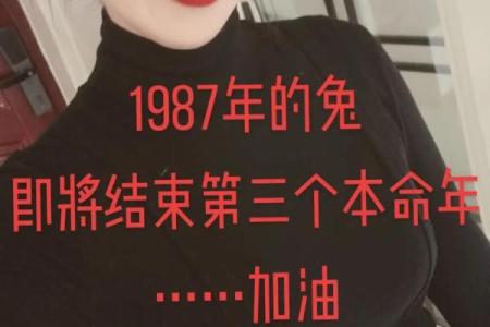 本命年兔男如何避免感情上的波动