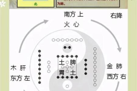 炙火五行探秘：从五行角度解读炙热之力