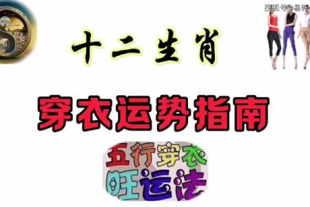 八字拱禄的秘密揭晓，如何用命理提升财富运势？