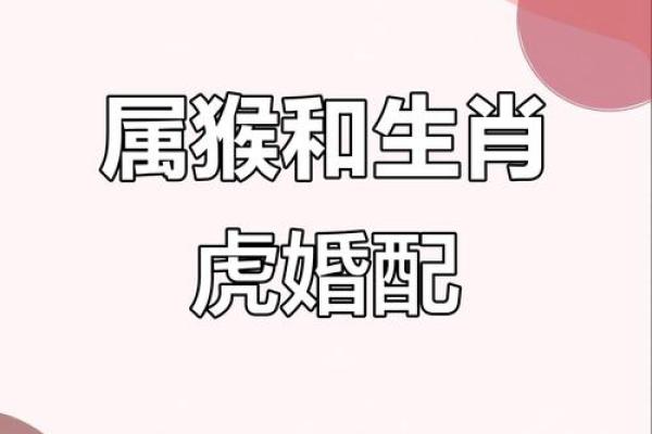属猴男与属马女的配对分析 是否天作之合 属猴男与属马女的配对分析 是否天作之合