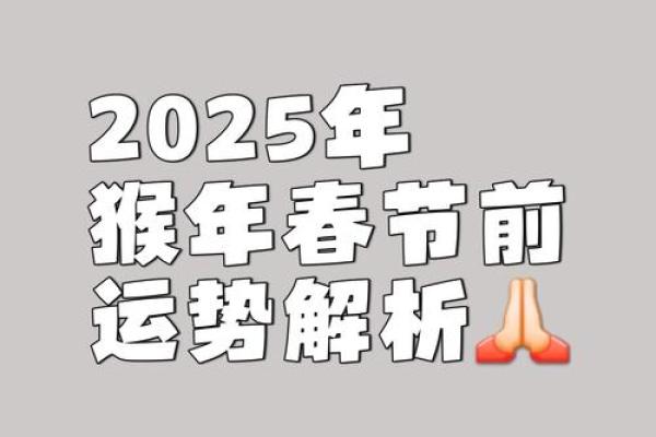 属猴运势分析与整体运程预测 属猴运势分析与整体运程预测