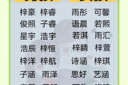 猴宝宝起名热门趋势