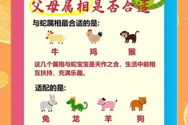 蛇与马相配:如何促进彼此的运势与成长 蛇与马相配:如何促进彼此的运势与成长